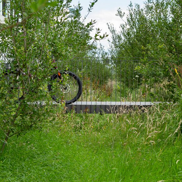 202007 3liv water 05 1200x580