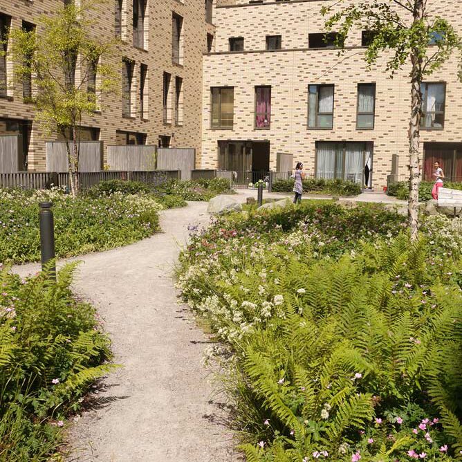 4 semi private courtyard 3 copyright townshend landscape architects